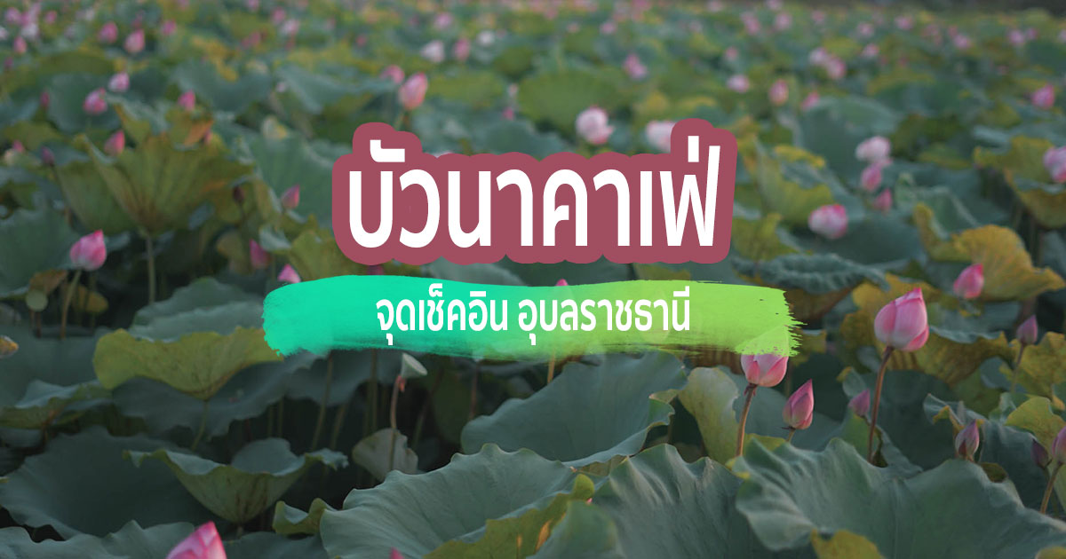 [Review] ร้านคาเฟ่ บัวนาคาเฟ่ ณ อุบลราชธานี