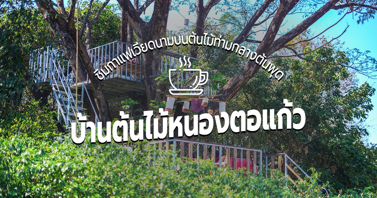 [Review] ร้านคาเฟ่ บ้านต้นไม้หนองตอแก้ว ณ อุบลฯ