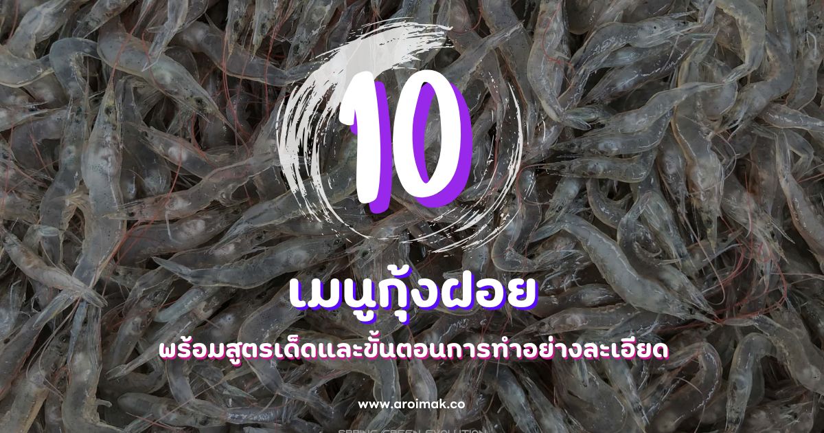 รวม 10 เมนูกุ้งฝอย พร้อมสูตรเด็ดและขั้นตอนการทำ