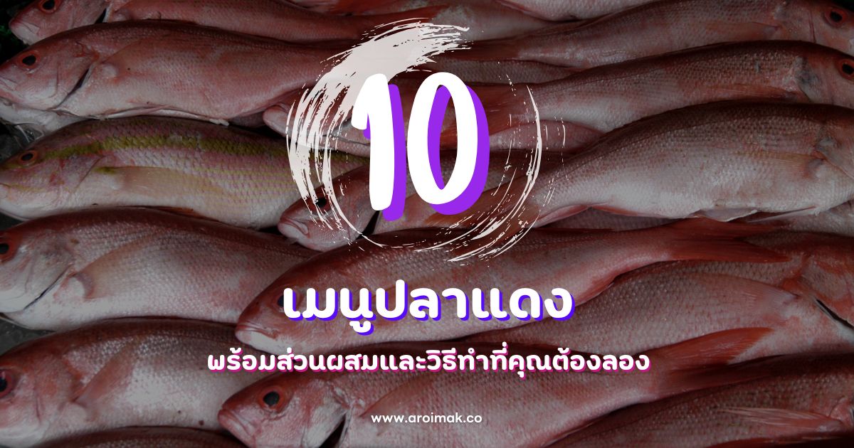 10 เมนูปลาแดงที่อร่อยง่าย พร้อมส่วนผสมและวิธีทำที่คุณต้องลอง