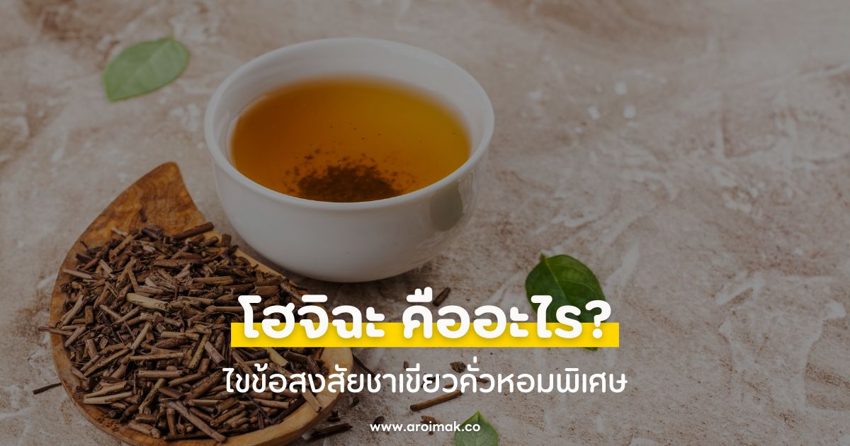 โฮจิฉะ (Hojicha) คืออะไร? ไขข้อสงสัยชาเขียวคั่วหอมพิเศษ